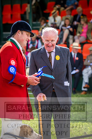 Honiton Hound Show 2016-33
