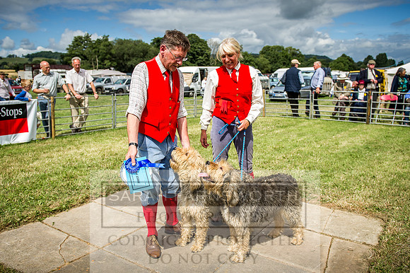 Honiton Hound Show 2016-172