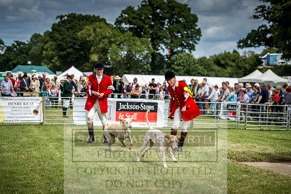 Honiton Hound Show 2016-156