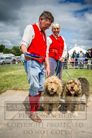 Honiton Hound Show 2016-174