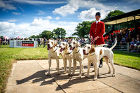 Honiton Hound Show 2016