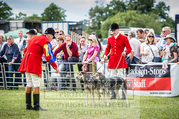 Honiton Hound Show 2016-196