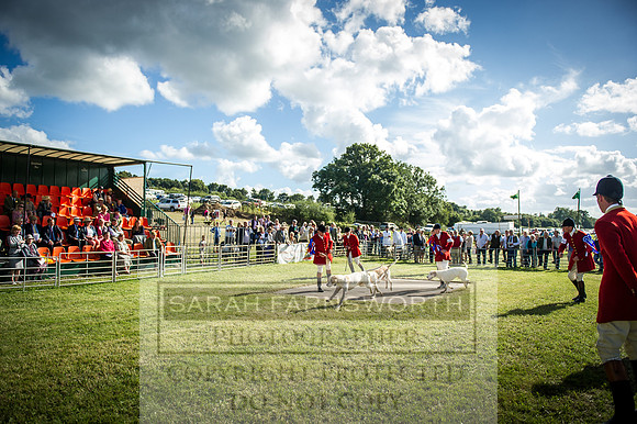 Honiton Hound Show 2016-256