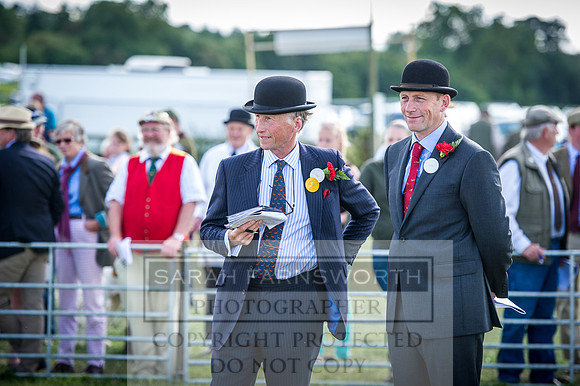 Honiton Hound Show 2016-239