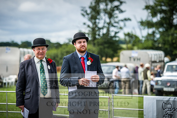 Honiton Hound Show 2016-151