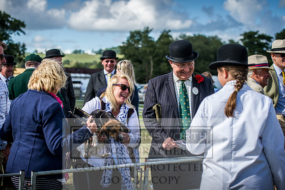 Honiton Hound Show 2016-232