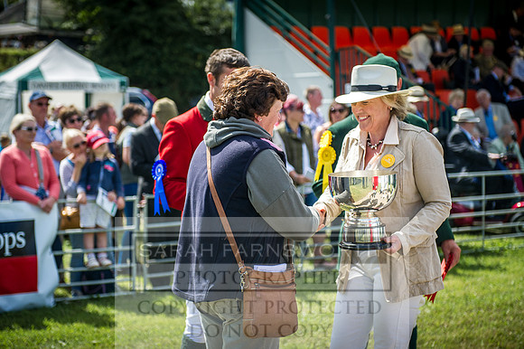 Honiton Hound Show 2016-88