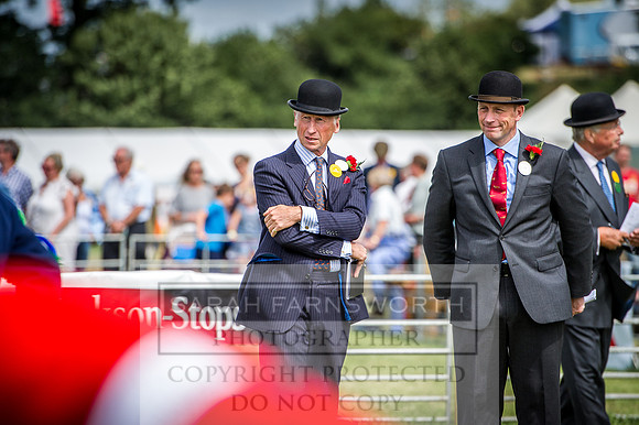 Honiton Hound Show 2016-179