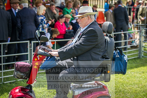 Honiton Hound Show 2016-122