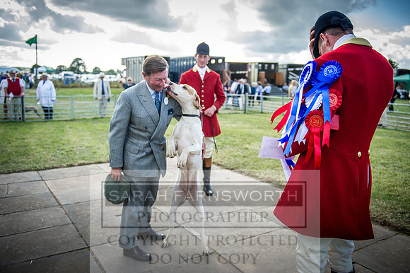 Honiton Hound Show 2016-270