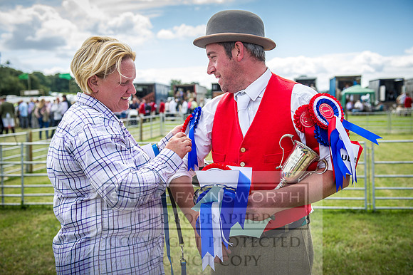 Honiton Hound Show 2016-191