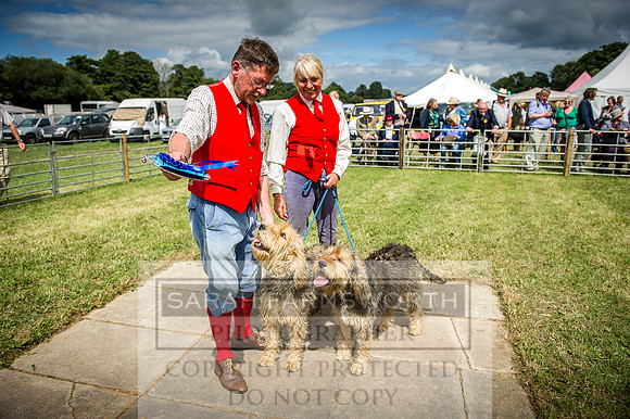 Honiton Hound Show 2016-173