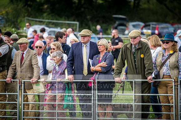 Honiton Hound Show 2016-54