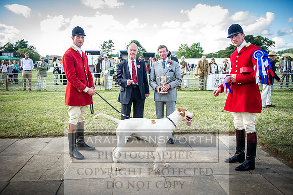 Honiton Hound Show 2016-272
