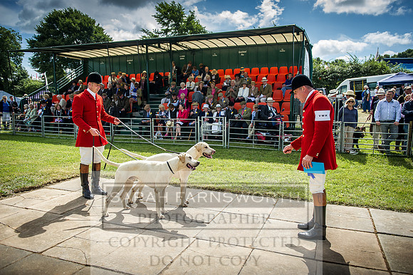 Honiton Hound Show 2016-77