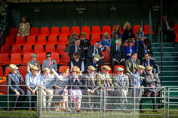 Honiton Hound Show 2016-243