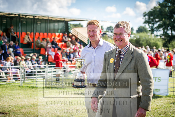 Honiton Hound Show 2016-234