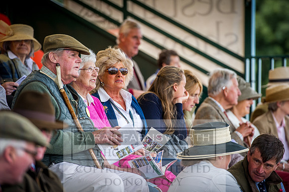 Honiton Hound Show 2016-47