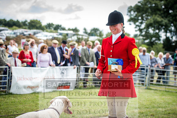Honiton Hound Show 2016-185