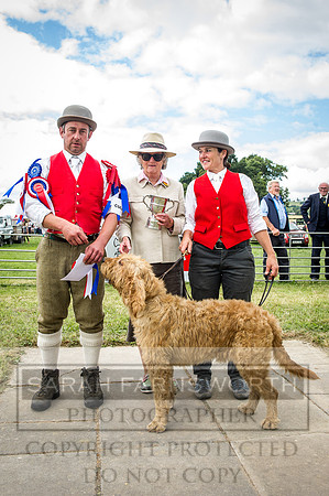 Honiton Hound Show 2016-215