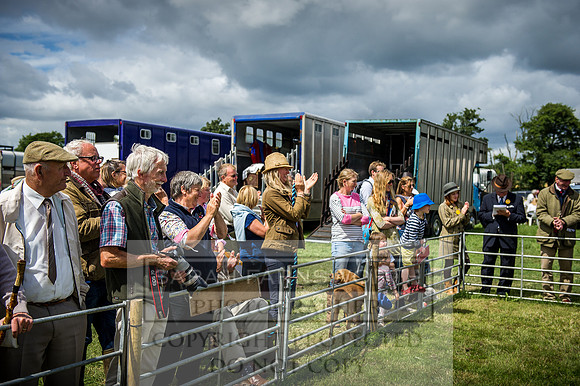 Honiton Hound Show 2016-144