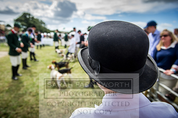 Honiton Hound Show 2016-166