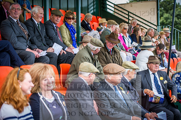 Honiton Hound Show 2016-45