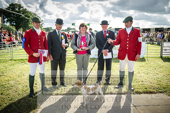 Honiton Hound Show 2016-265