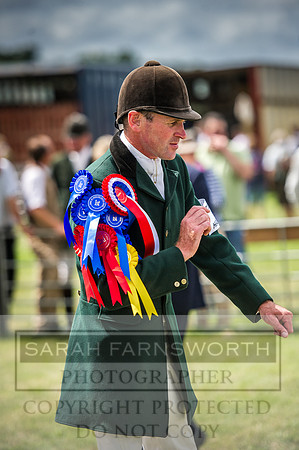 Honiton Hound Show 2016-128