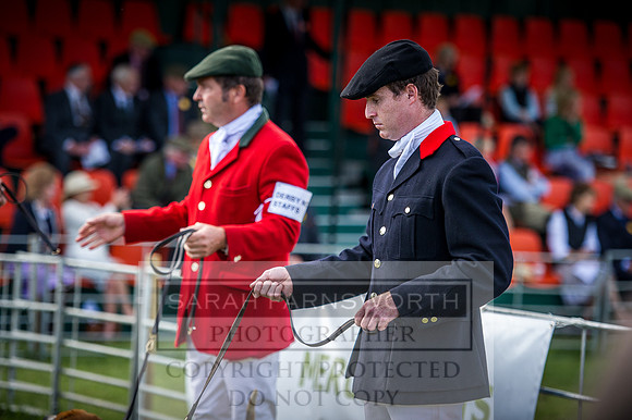 Honiton Hound Show 2016-7