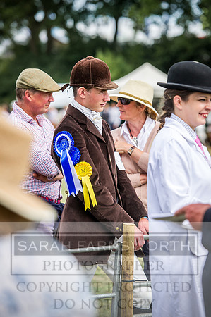 Honiton Hound Show 2016-209