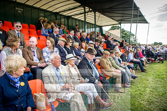Honiton Hound Show 2016-194