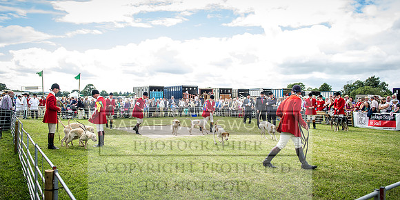 Honiton Hound Show 2016-197