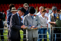 Honiton Hound Show 2016-5