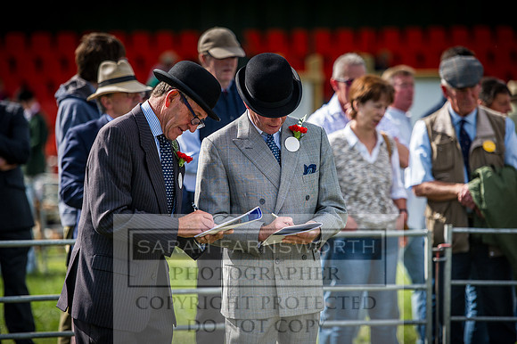 Honiton Hound Show 2016-5