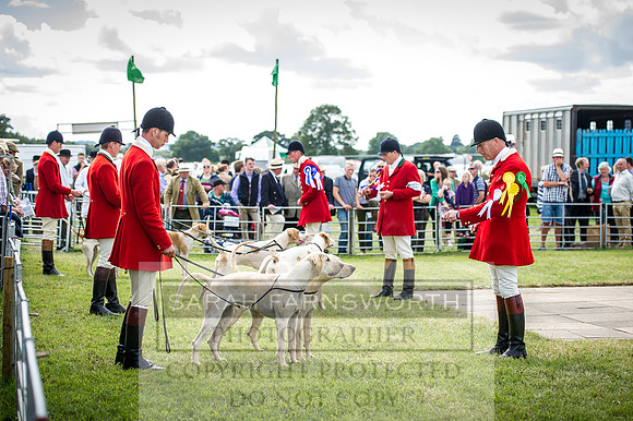 Honiton Hound Show 2016-195