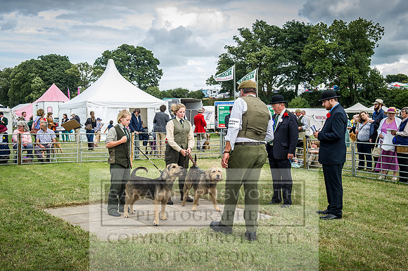 Honiton Hound Show 2016-200