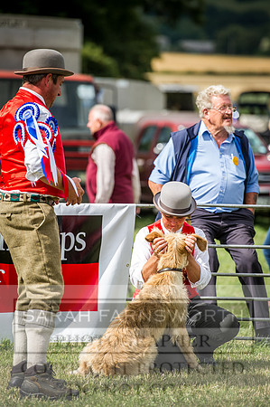 Honiton Hound Show 2016-212