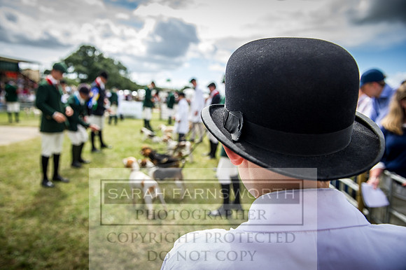 Honiton Hound Show 2016-167