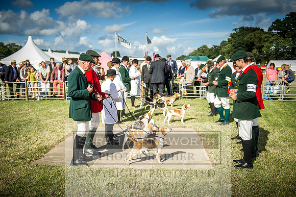 Honiton Hound Show 2016-248