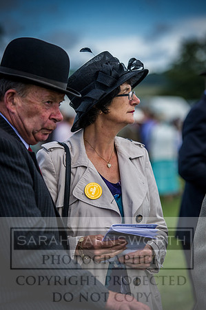 Honiton Hound Show 2016-57
