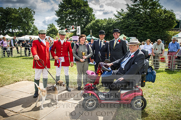Honiton Hound Show 2016-123
