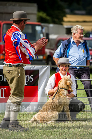 Honiton Hound Show 2016-211