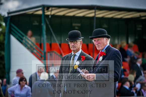 Honiton Hound Show 2016-221