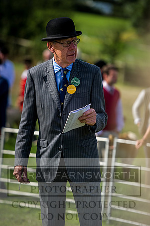 Honiton Hound Show 2016-2