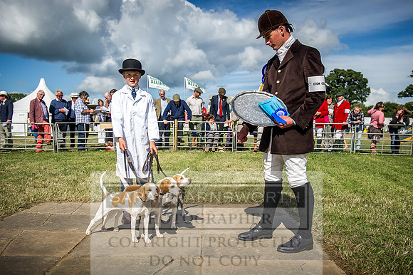 Honiton Hound Show 2016-226