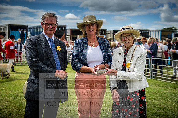 Honiton Hound Show 2016-158