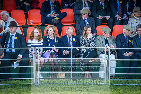 Honiton Hound Show 2016-85