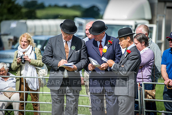 Honiton Hound Show 2016-81