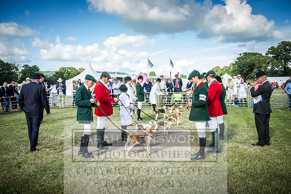 Honiton Hound Show 2016-247